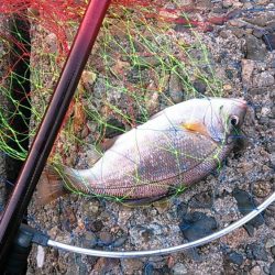 満足の釣り納め