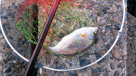 満足の釣り納め