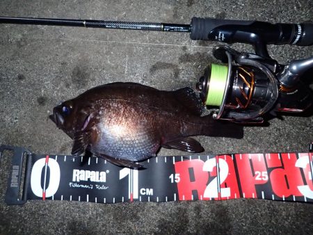 今期初のメバリング！