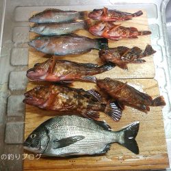 初釣りは小チヌゲット！