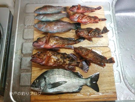 初釣りは小チヌゲット！