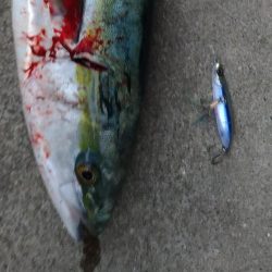 年始からええ事おこった