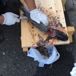 夜中に初めての港で釣行