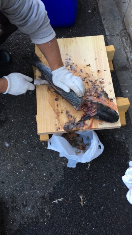 夜中に初めての港で釣行