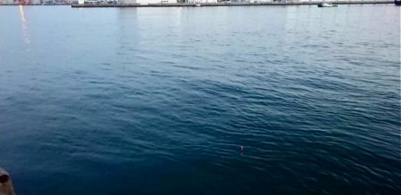 ◯やっとフィッシュオン