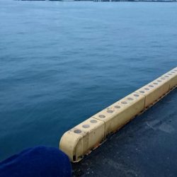 ◯これで今シーズン本当に最後