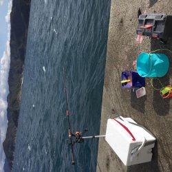 今年初の小浦一文字