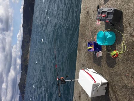 今年初の小浦一文字