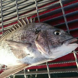 極寒の釣り公園