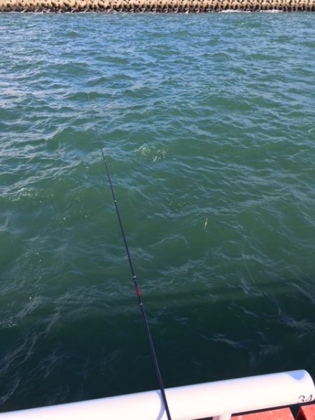 8時までは入れ食い