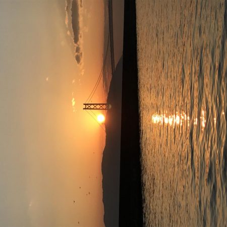 目標メバリング