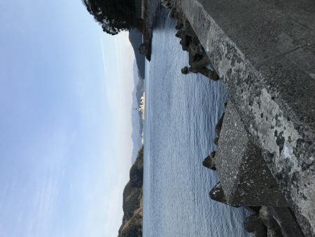 メバルはどこに