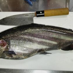 冬の釣り堀田尻