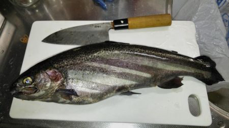 冬の釣り堀田尻