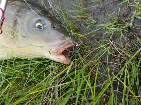 和田川への釣行