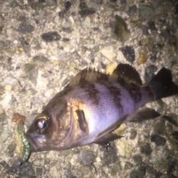 寒波襲来の前に！