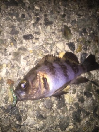 寒波襲来の前に！