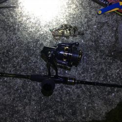 冬のフェリーターミナルにて