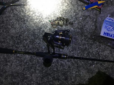 冬のフェリーターミナルにて