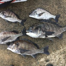 オンファースト