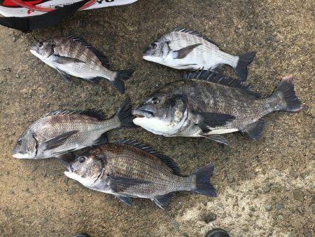 オンファースト