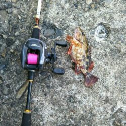 今年初穴釣りへ