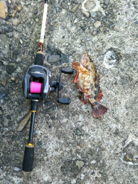 今年初穴釣りへ