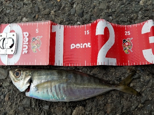 フグの攻撃！ワームが↓