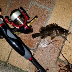 寒い中の短時間勝負！勝ちました