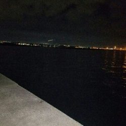 タチウオ釣り　～アタリなし～