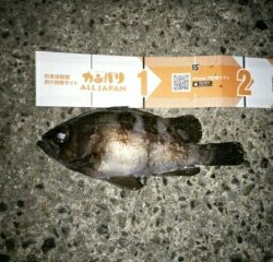 会心のメバリング