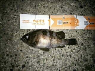 会心のメバリング