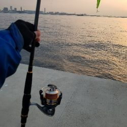 御天道様おはようございます。