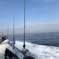 横須賀長井の光三丸さんでスルメイカ