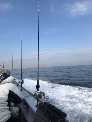 横須賀長井の光三丸さんでスルメイカ