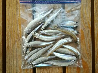 銀山湖　ワカサギ釣り