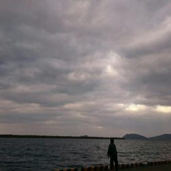 明けおめフィーシュ‼