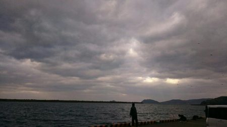 明けおめフィーシュ‼