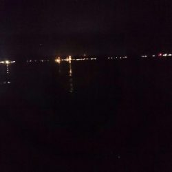 和歌山釣始め！