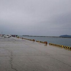 超大漁❗お土産釣！