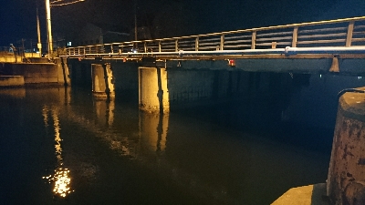 あけおめフィッシュ♪