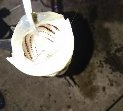 ようやくセイゴ脱出♪