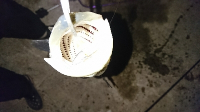 ようやくセイゴ脱出♪