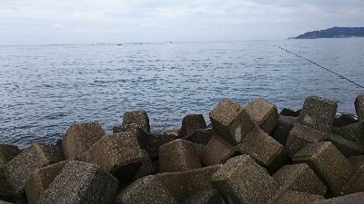 ヒラメのはずが