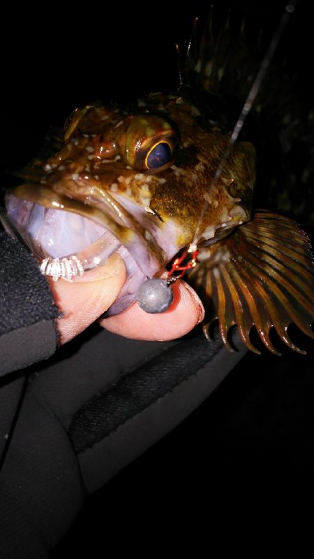 なんだかなぁー