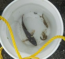 釣大会に参加しました