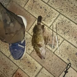 南港しか選択なかったんで、場所は舞洲付近です