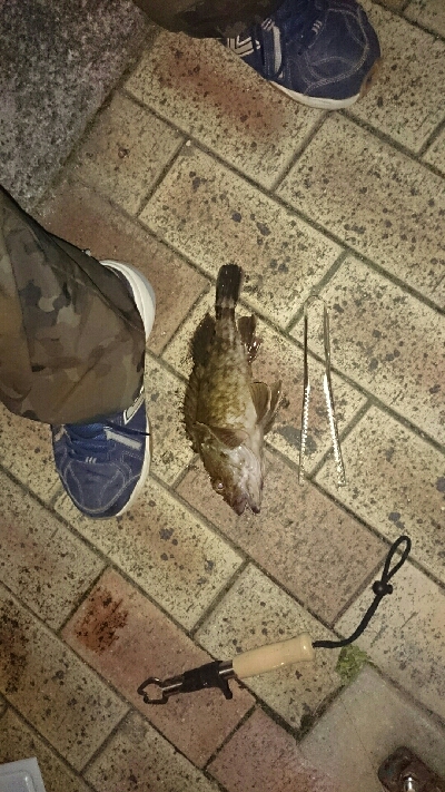 南港しか選択なかったんで、場所は舞洲付近です