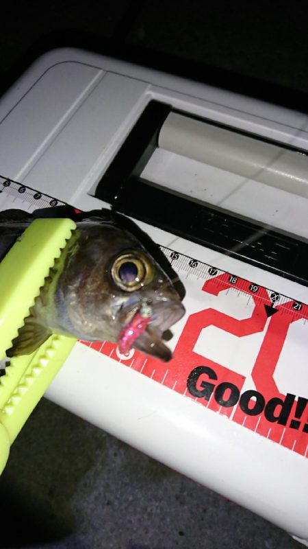 ラインセレクト