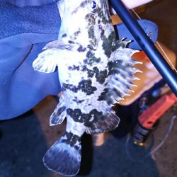 休みになったら北西爆風(*_*)